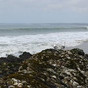 CoastCamp 141 : CoastCamp